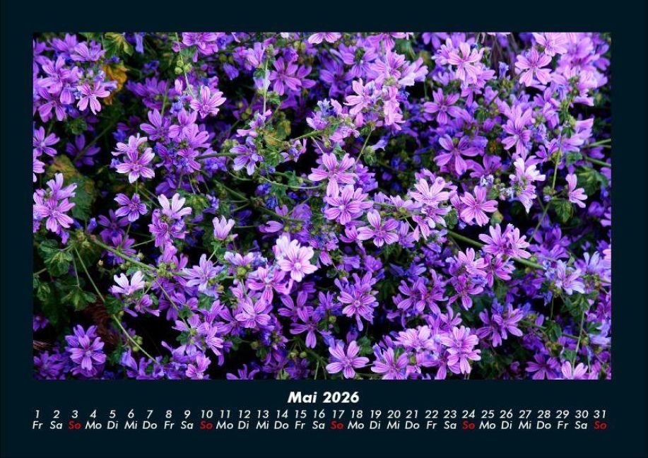 InsideView 9