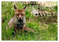 Cover-Bild zum Titel 'Heimische Tierwelt (Tischkalender 2025 DIN A5 quer), CALVENDO Monatskalender' von 'Benny Trapp'