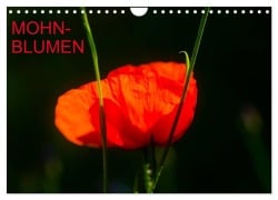 Cover-Bild zum Titel 'Mohnblumen (Wandkalender 2026 DIN A4 quer), CALVENDO Monatskalender' von 'Thomas Jäger'