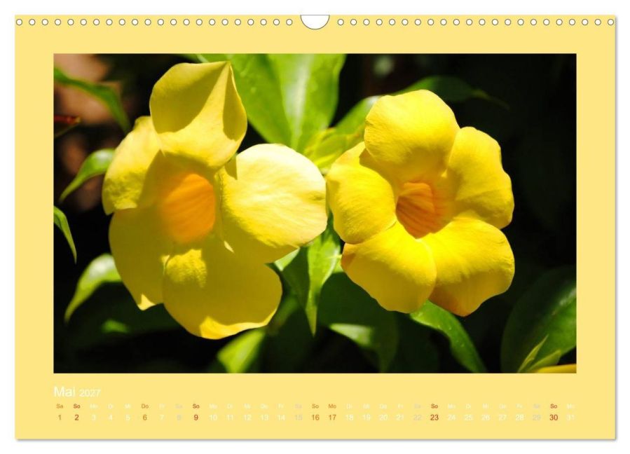 InsideView 10