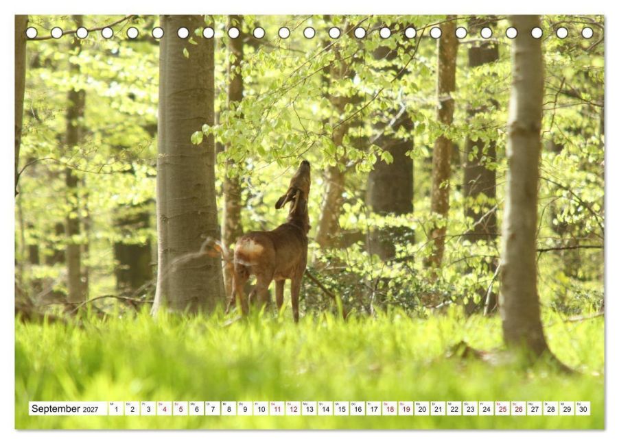 InsideView 14