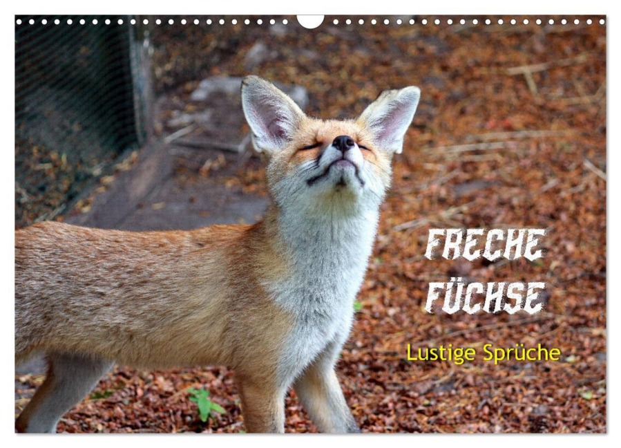 Freche Füchse - lustige Sprüche (Wandkalender 2026 DIN A3 quer), CALVENDO Monatskalender - Peter Kersten