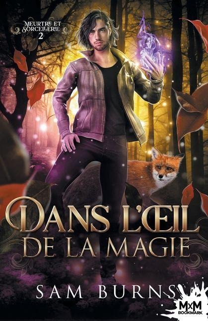 Dans l'oeil de la magie - Sam Burns