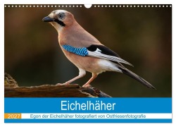 Cover-Bild zum Titel 'Eichelhäher - Egon der Eichelhäher fotografiert von Ostfriesenfotografie (Wandkalender 2027 DIN A3 quer), CALVENDO Monatskalender' von 'Christina Betten - Ostfriesenfotografie'