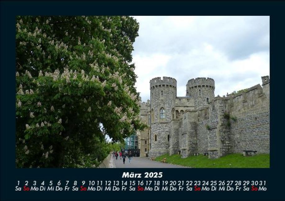InsideView 7