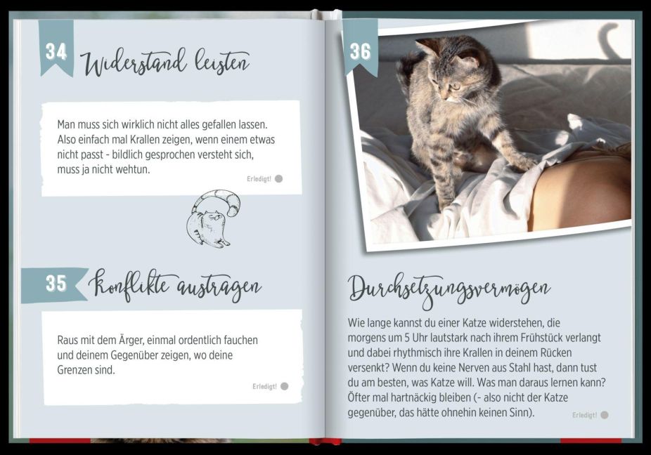 InsideView 2