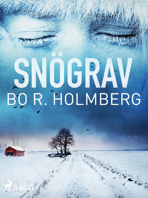 Snögrav - Bo R. Holmberg