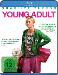 Cover-Bild zum Titel 'Young Adult' von 'Diablo Cody, Rolfe Kent'