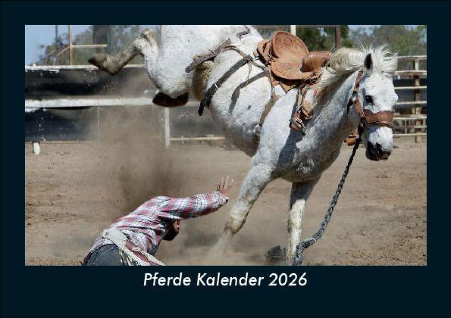 Pferde Kalender 2026 Fotokalender DIN A5 - Tobias Becker
