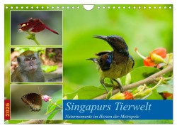 Cover-Bild zum Titel 'Singapurs Tierwelt (Wandkalender 2026 DIN A4 quer), CALVENDO Monatskalender' von 'Martin Korelski'