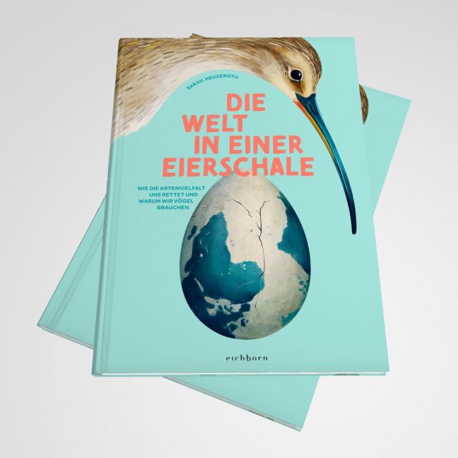 InsideView 16
