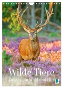 Cover-Bild zum Titel 'Wilde Tiere: Zuhause in Wald und Flur (Wandkalender 2026 DIN A4 hoch), CALVENDO Monatskalender' von 'Calvendo Calvendo'