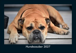 Cover-Bild zum Titel 'Hundezauber 2027 Fotokalender DIN A5' von 'Tobias Schmitt, Kevin Heber'