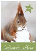 Cover-Bild zum Titel 'Eichhörnchen - Planer (Wandkalender 2027 DIN A2 hoch), CALVENDO Monatskalender' von 'Birgit Cerny'