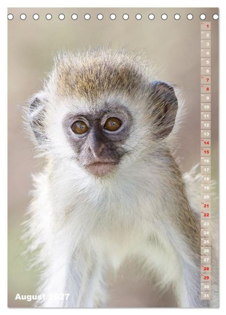 InsideView 13