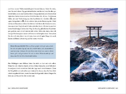 InsideView 7