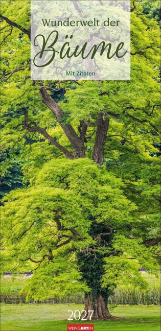 Wunderwelt der Bäume Kalender 2027 - 