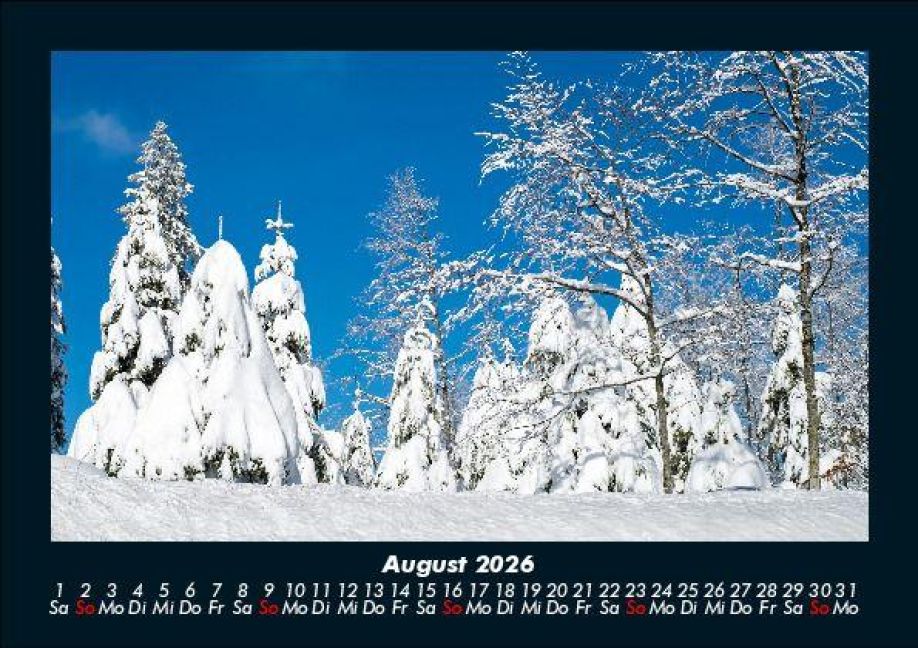 InsideView 12