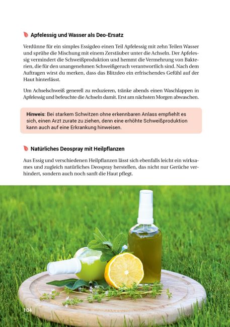 InsideView 17
