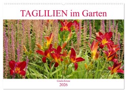 Taglilien im Garten (Wandkalender 2026 DIN A2 quer), CALVENDO Monatskalender - Gisela Kruse