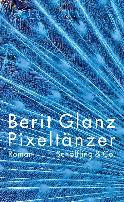 Pixeltänzer - Berit Glanz
