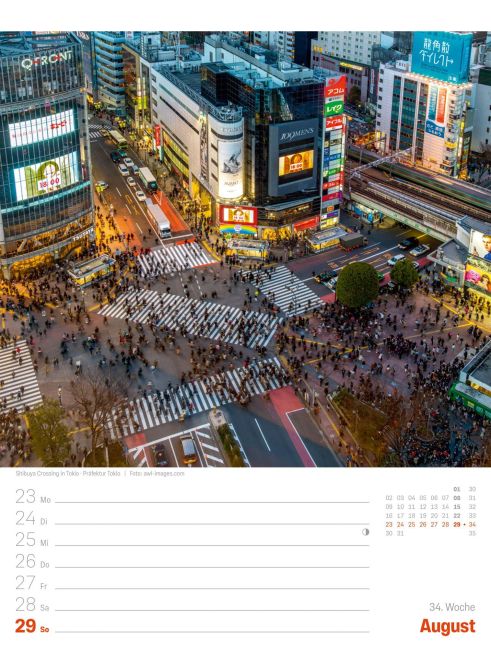 InsideView 38