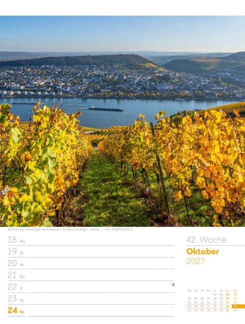 InsideView 46