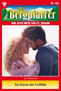 Cover-Bild zum Titel 'Im Sturm der Gefühle' von 'Toni Waidacher'