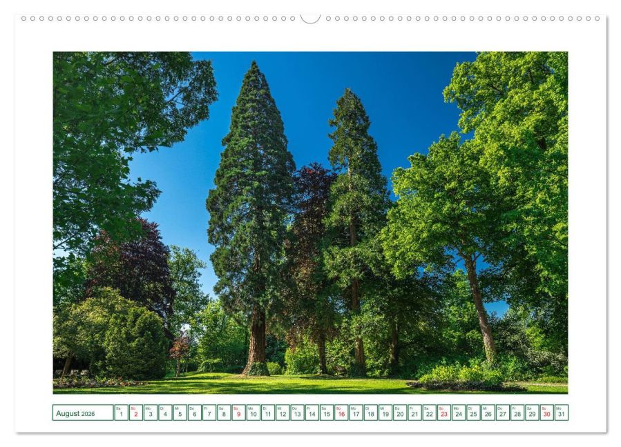 InsideView 13