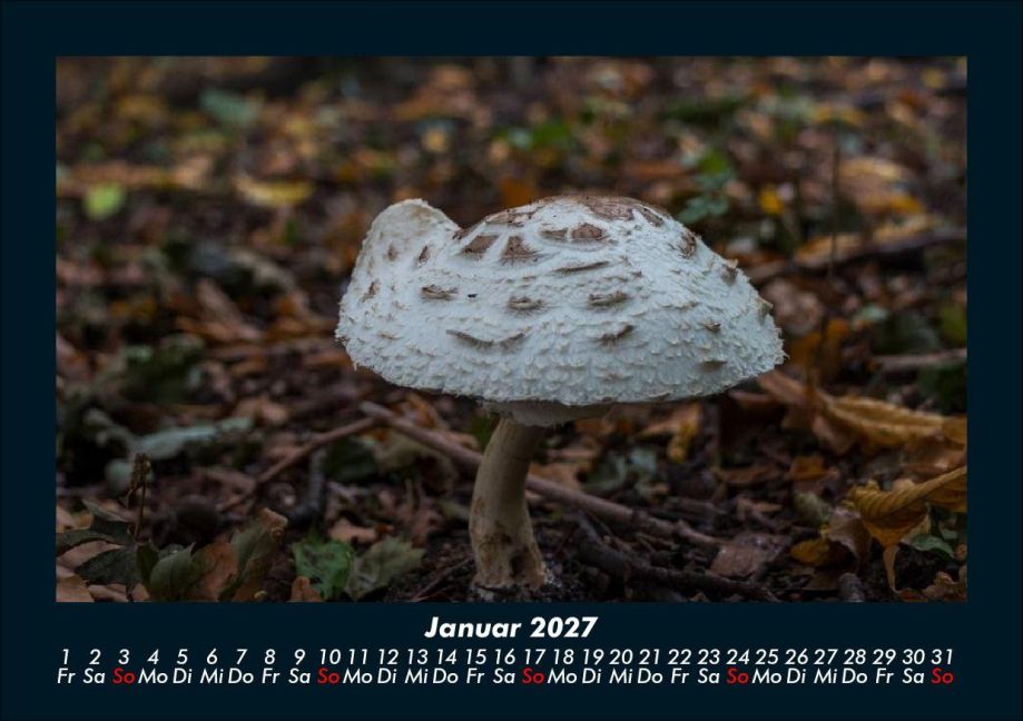 InsideView 5