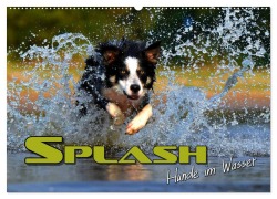 Cover-Bild zum Titel 'SPLASH - Hunde im Wasser (Wandkalender 2026 DIN A2 quer), CALVENDO Monatskalender' von 'Renate Bleicher'