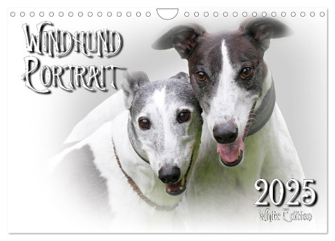 Windhund Portrait 2025 White Edition (Wandkalender 2025 DIN A4 quer), CALVENDO Monatskalender - Andrea Redecker