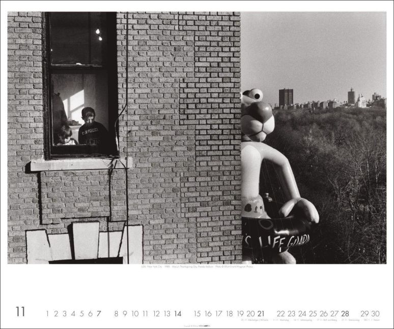 InsideView 11