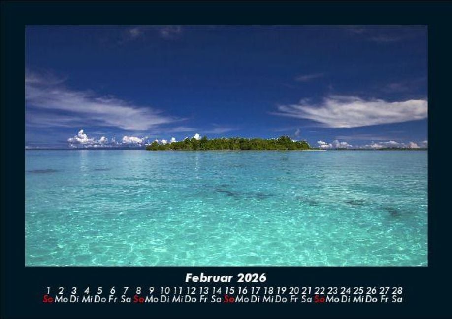 InsideView 6