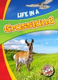 Cover-Bild zum Titel 'Life in a Grassland' von 'Laura Hamilton Waxman'