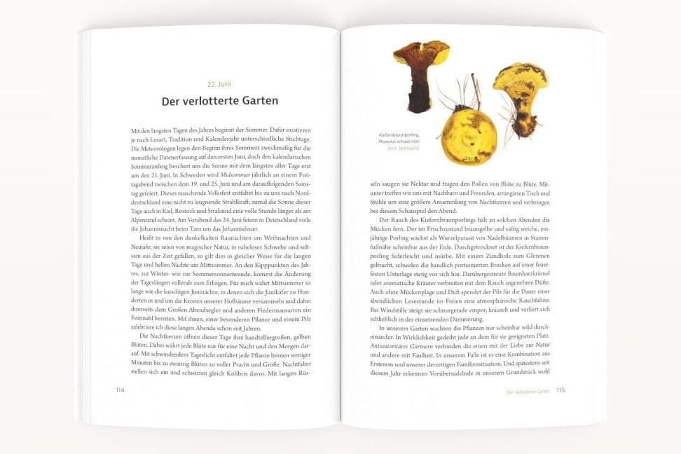 InsideView 3