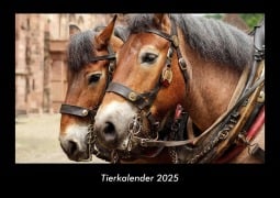 Cover-Bild zum Titel 'Tierkalender 2025 Fotokalender DIN A3' von 'Tobias Becker'