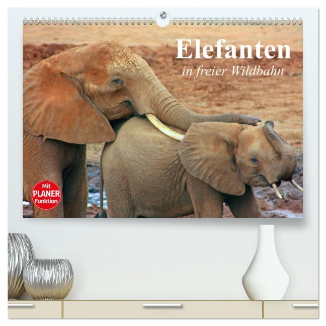 Elefanten in freier Wildbahn (hochwertiger Premium Wandkalender 2026 DIN A2 quer), Kunstdruck in Hochglanz - Elisabeth Stanzer