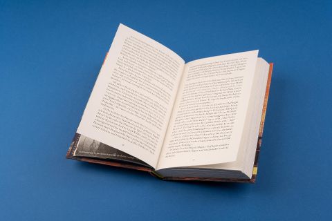InsideView 6