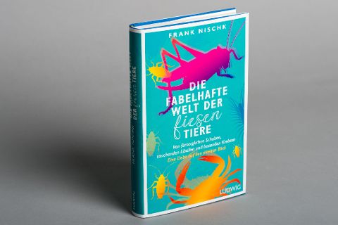 InsideView 1
