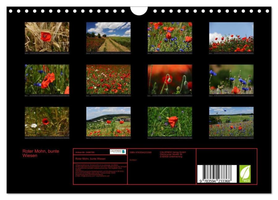 InsideView 5