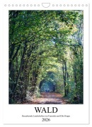 Cover-Bild zum Titel 'Wald - bezaubernde Landschaften (Wandkalender 2026 DIN A4 hoch), CALVENDO Monatskalender' von 'Elke Hoppe Hoppe'