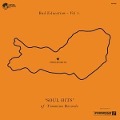 Cover-Bild zum Titel 'Bad Education Vol.1' von 'Various'
