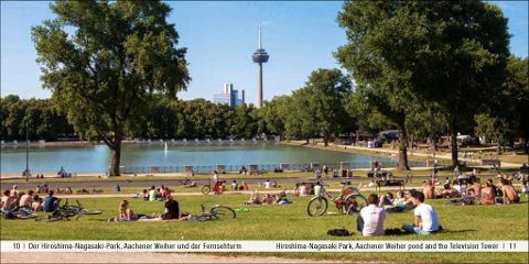 InsideView 6
