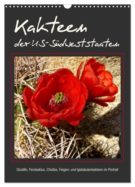 Kakteen der US-Südweststaaten (Wandkalender 2026 DIN A3 hoch), CALVENDO Monatskalender - Jana Thiem-Eberitsch