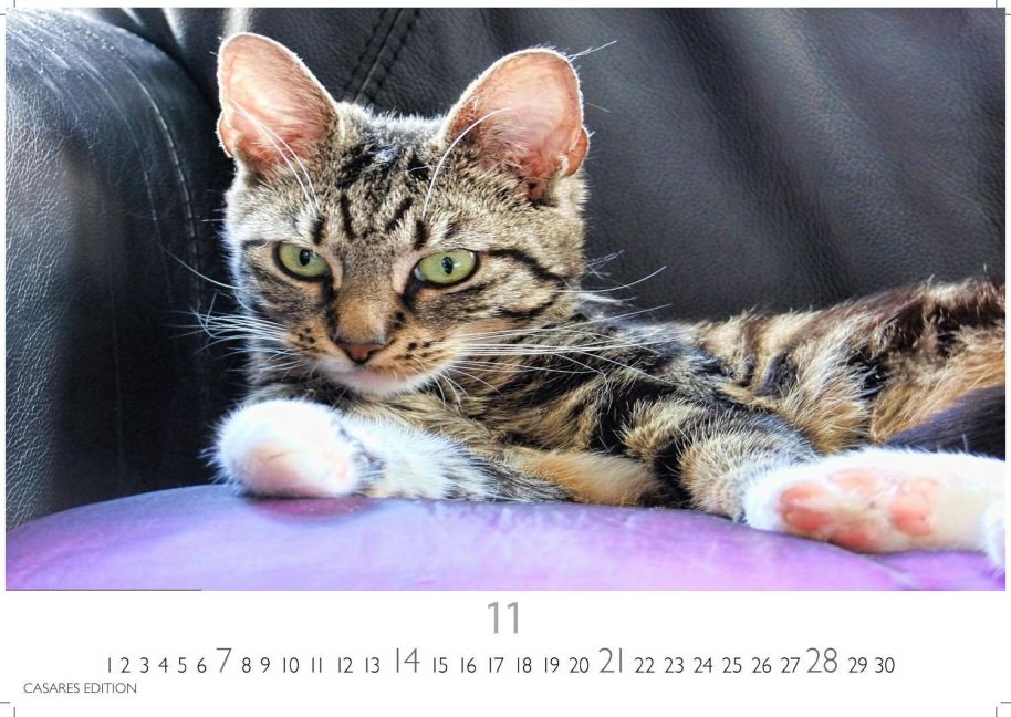 InsideView 11