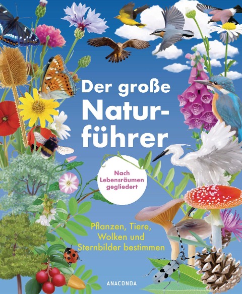 Der große Naturführer. Pflanzen, Tiere, Wolken und Sternbilder bestimmen. Nach Lebensräumen gegliedert. - Morgane Peyrot, Blandine Pluchet, Xavier Nitsch