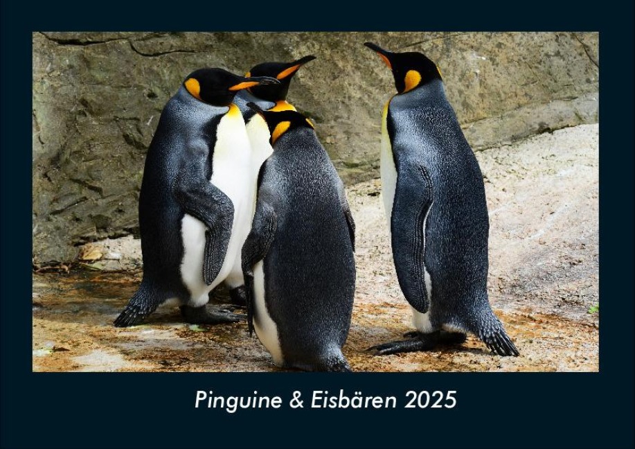 Pinguine & Eisbären 2025 Fotokalender DIN A4 - Tobias Becker