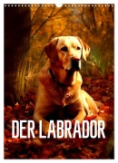 Der Labrador (Wandkalender 2026 DIN A3 hoch), CALVENDO Monatskalender - Tim Alberts