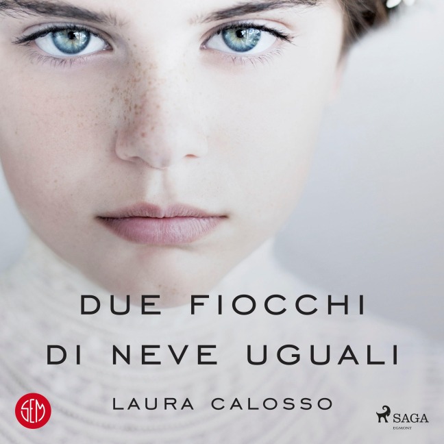 Due fiocchi di neve uguali - Laura Calosso